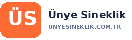 ünye sineklik